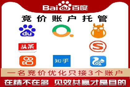 竞价排名在搜索引擎营销中的运用案例
